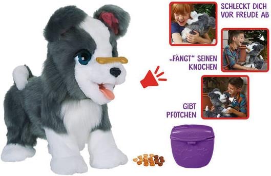 Ricky store chien malin
